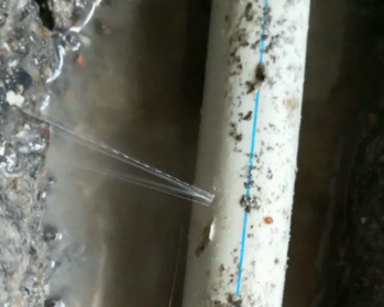 罗田卫生间测漏水多少钱