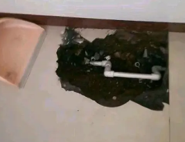 罗田卫生间测漏水多少钱